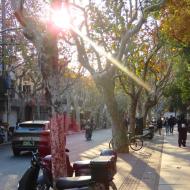 Hyggelige smalle gader