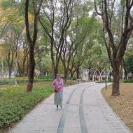 Vores lille lokale park