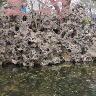 De er altså ikke så kønne