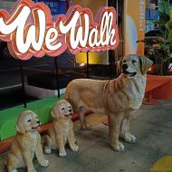 Butikstorvet We Walk