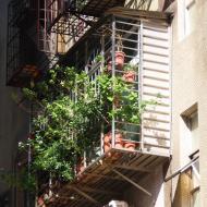 Mange planter