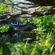 Hyggelig park