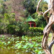 Botanisk Have
