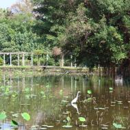 Botanisk Have
