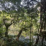 Botanisk Have