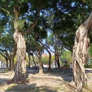 Minsheng Park