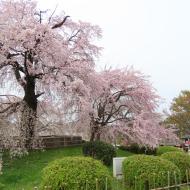 Maruyama Park