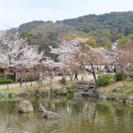 Maruyama Park