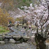 Maruyama Park