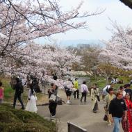 Maruyama Park