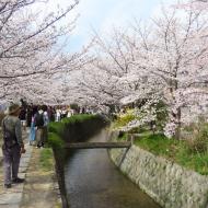 Philosopher's Path
