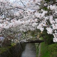 Philosopher's Path