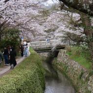 Philosopher's Path