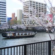 Okawa-floden