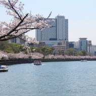 Okawa-floden