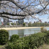 Okawa-floden