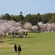 Smuk park