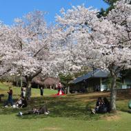 Smuk park