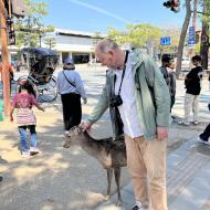 Hjortene tager imod os på stationen 