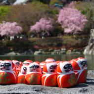 Daruma-dukker