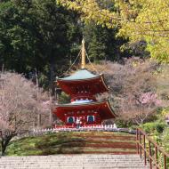 Smuk pagode