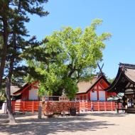 Sumiyoshi Taisha