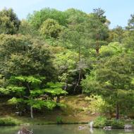 Templet Tenryū-ji