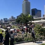 Nakanoshima Rose Garden