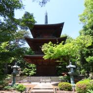 Templet 