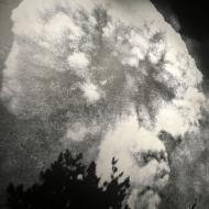 Hiroshima Peace Memorial Museum