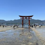 Torii-porten