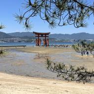 Torii-porten