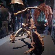 Hiroshima Peace Memorial Museum