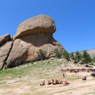 Turtle Rock