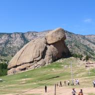 Turtle Rock