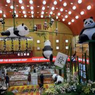 Masser af pandaer