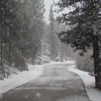 Black Hills National Forest