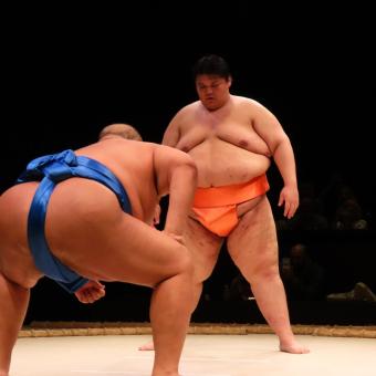 Sumobrydershow i Osaka